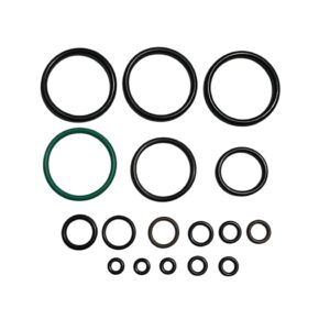 SET ORING PR900